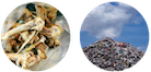 Food waste in landfill